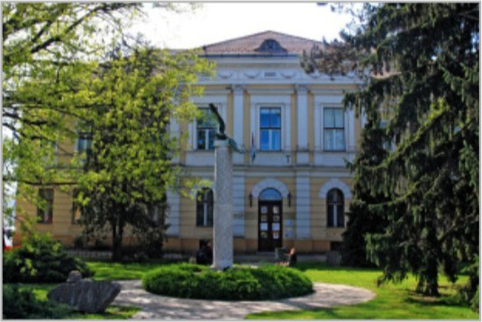 A Múzeum története